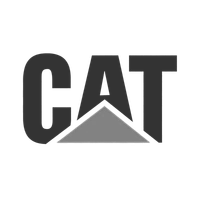 cat logo 2